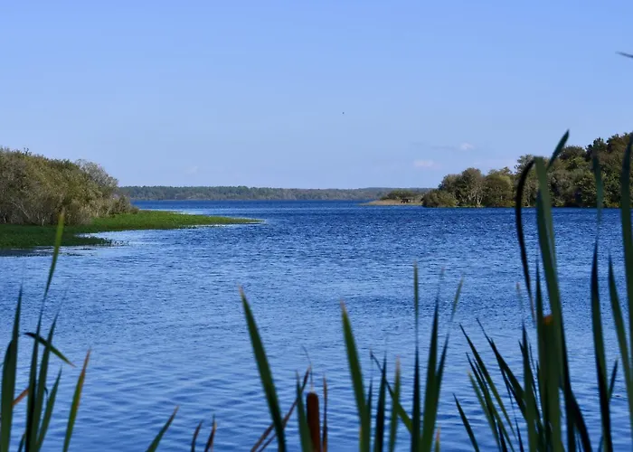 Maisouet By Interhome * Mimizan-Plage